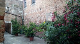 IMG_20180616_203713.jpg
